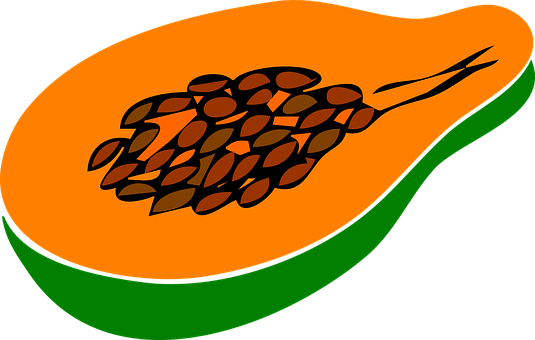 The health benefits of Papaya